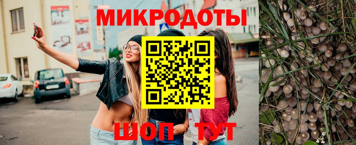 Галлюциногенные грибы Psilocybe Новосибирск