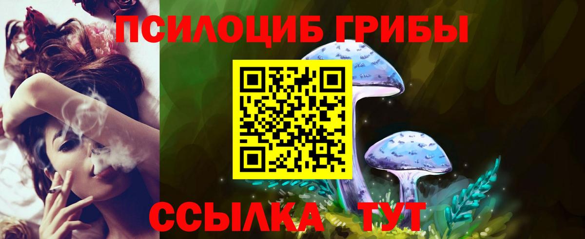 Псилоцибиновые грибы Magic Shrooms  Вход с VPN  Новосибирск 